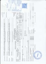 Кассовые чеки с подтверждением в Красном Селе